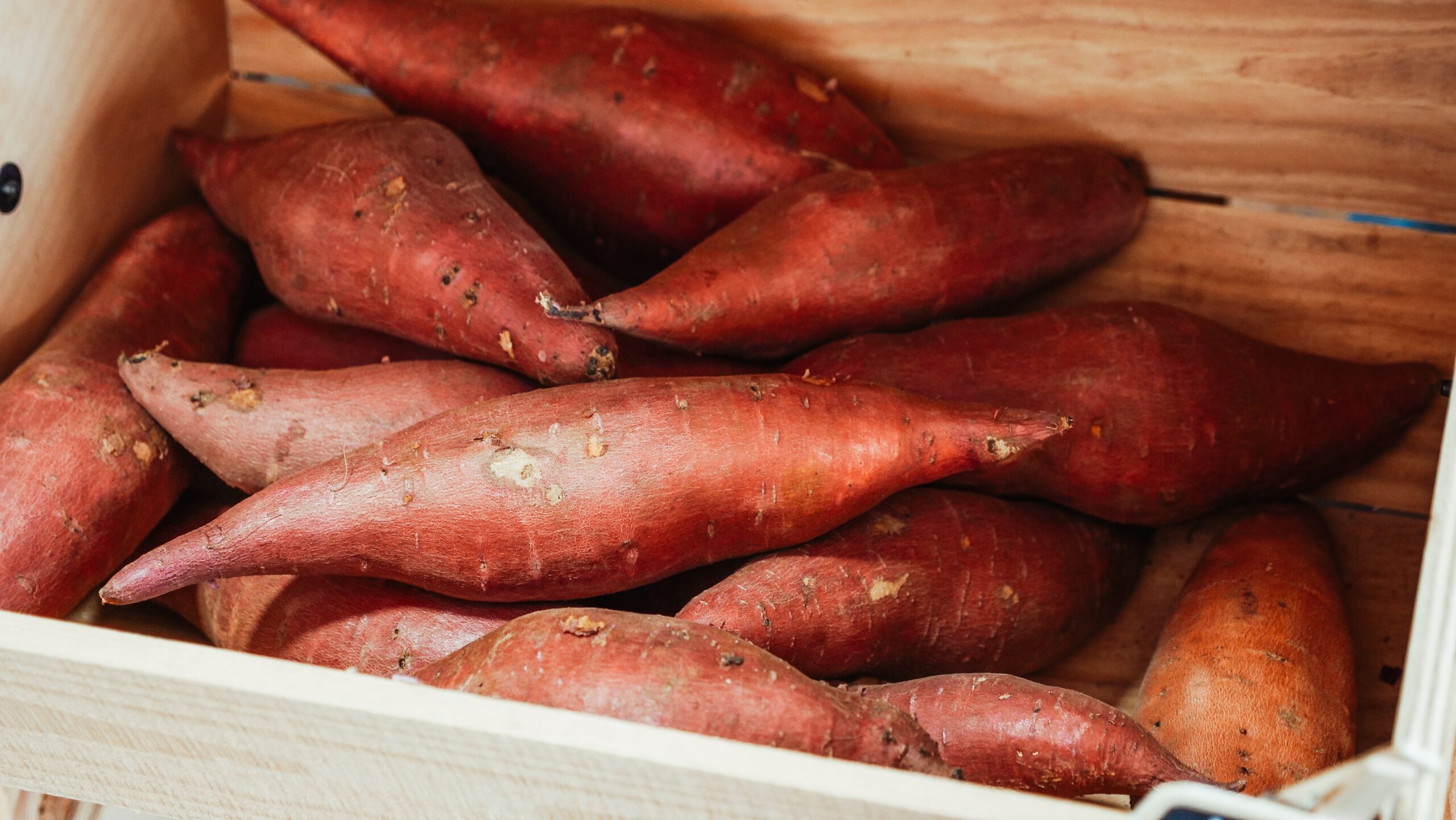 bin of uncooked sweet potatoes